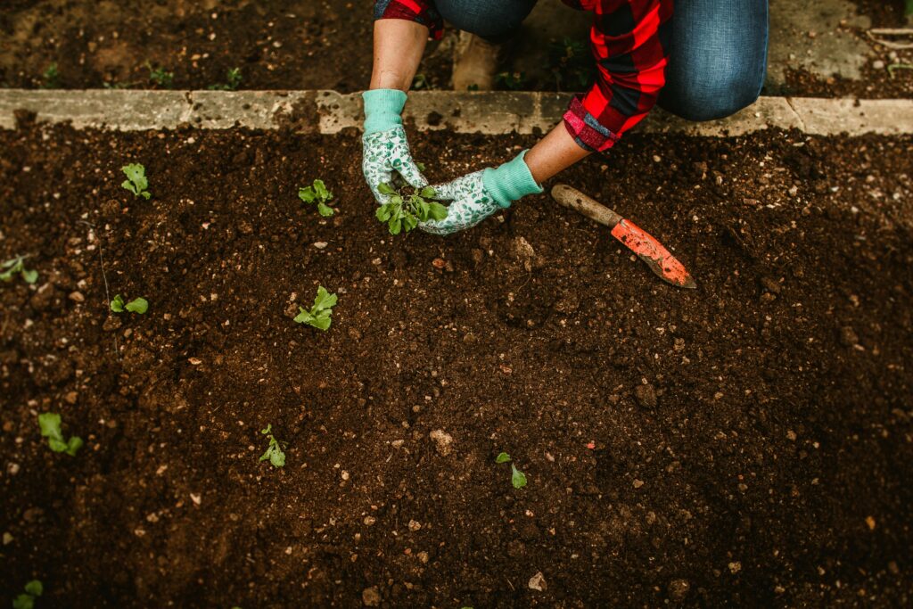 8 Tips for Easy Fall Yard Cleanup